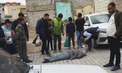 Urfa'da sokakta tartıştığı babasını bıçaklayarak öldürdü