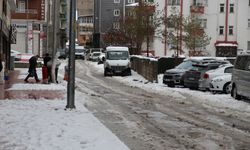Van'da kar nedeniyle 446 yerleşim yerinin yolu kapandı