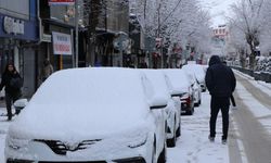 Van'da 152 yerleşim yerinin yolu kardan ulaşıma kapandı
