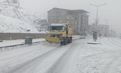 Hakkari'de kar yağışı hayatı olumsuz etkiliyor