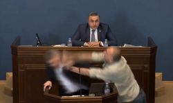 Gürcistan Parlamentosunda yumruklu kavga