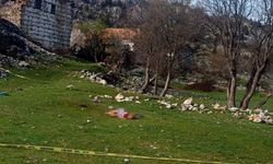 Antalya'da köpek dehşeti: 85 yaşındaki kadın öldü