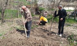 Hakkari'de baharın gelişiyle birlikte bahçe işleri başladı