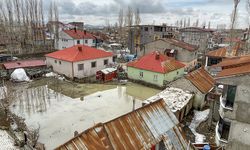 Yüksekova'da tarım arazileri ve bazı evler su altında kaldı