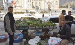 Hakkari'de ilkbahar habercisi pancar tezgahta yerini aldı