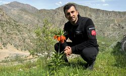 Selçuk Bayraktar Çukurca'da Ters Lale mevsimini paylaştı