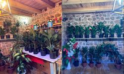 Çukurca'da 'Şeflera Çiçekçilik' açıldı
