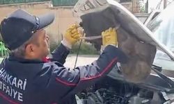 Hakkari'de minibüs motorunda yılan çıktı