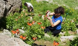 Ters laleleri görmek için Mardin'den gelip 7 kilometre yürüdüler