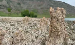 Van Gölü sahilleri mikrobiyalit tarlasına döndü