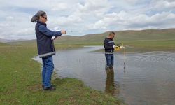 Van'da göletlerdeki balık ölümleri araştırılıyor