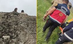 Genç kız kayalıklara çıkıp intihara kalkıştı