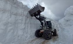 Hakkari'de mayısta karla mücadele sürüyor