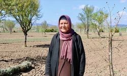 Memleketine dönen Kezban Kurnaz, çiftçilere öncü oldu