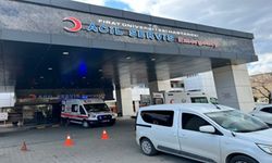 Süs havuzuna düşen çocuk hayatını kaybetti