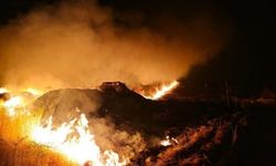 Şırnak'ta kontrol altına alınan yangın, rüzgarın etkisiyle yeniden başladı