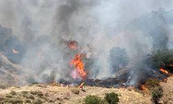 Bingöl’ün iki ilçesinde orman yangını çıktı