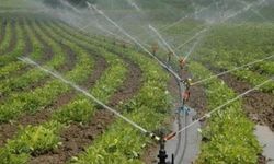 HAKKARİ İL ÖZEL İDARESİ - BÜYÜKÇİFTLİK BELDESİ SULAMA SUYU YAPIM İŞİ