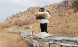 Otellerde sezonluk çalışan Siirtli genç, memleketinde kalıcı bir iş kurdu