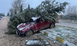 Çaldığı kamyonetle kaza yapıp, başka bir aracı daha çalıp kaçtı