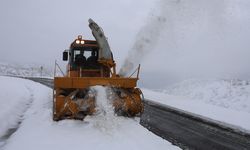 Bingöl'de eğitime 'kar' engeli