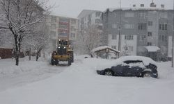 Bitlis'te kar kalınlığı yüksek kesimlerde 70 santime ulaştı