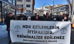 Hakkari DEM Parti'den gözaltı ve kayyum açıklaması