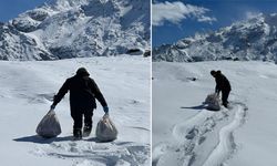 Hakkari'de yaban hayvanları için seferber oldular