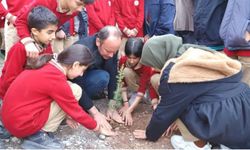 Kaymakam Akpınar öğrencilerle birlikte fidan dikti