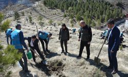 Hakkari'de fidan dikme etkinliği düzenlendi