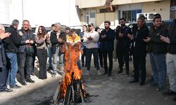 DEM Parti Hakkari'de Newrozun startını verdi