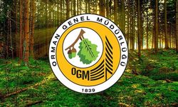 Orman Genel Müdürlüğü 252 daimi işçi alacak