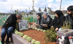 Rojin yaşasaydı bugün doğum gününü kutlayacaktı