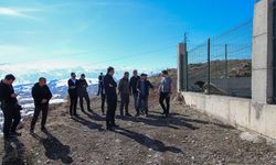 Hakkari'de sokak hayvanları için önemli adım