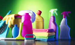 HAKKARİ GENÇLİK VE SPOR İL MÜDÜRLÜĞÜ - İL İLÇE VE KYK YURTLARI TEMİZLİK MALZEME ALIMI