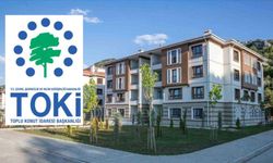 TOPLU KONUT İDARESİ BAŞKANLIĞI - HAKKARİ İLİ ÇUKURCA İLÇESİ 110 ADET KONUT YAPIM İŞİ