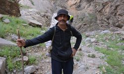 Hakkari dağlarında geçim mücadelesi