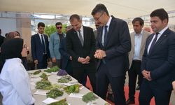 Hakkari'de 'Yöresel Ot' festivali düzenlendi