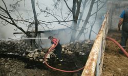 Kütahya'da 4 kümes yandı; 100 tavuk öldü