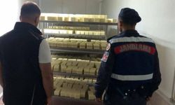 5 ton 'sahte' kaşar peyniri ele geçirildi