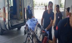 15 yaşındaki çocuk çobanı vurdu, babasını yaralandı