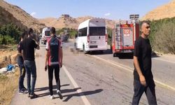 Mardin'de minibüs, sürüye daldı; 13 küçükbaş öldü