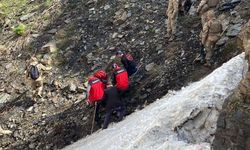 Pancar toplamak için dağa giden kadın ölü bulundu