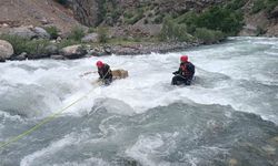 Hakkari'de derede kaybolan genci arama çalışmaları sürüyor