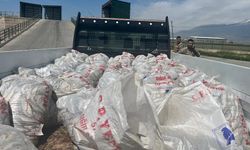 Ağrı'da 2 ton kaçak inci kefali ele geçirildi