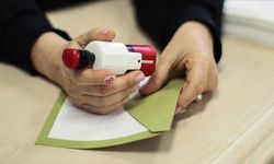 1 Haziran'da 407 mahalle ve köyde seçim yapılacak