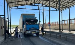 Hakkari'de şap hastalığına karşı denetimler devam ediyor