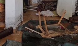 Belediye başkanının evini ayılar bastı
