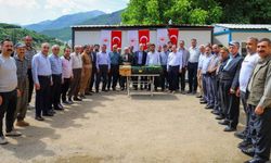 Şemdinli’de çiftçilere fide desteği yapıldı