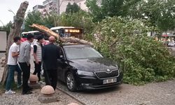 Meteoroloji uyarmıştı; Diyarbakır ve Batman'da fırtına